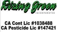 Rising Green Inc Tree & Landscaping image 1